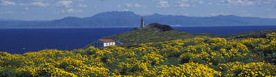 Visit Channel Islands National Park